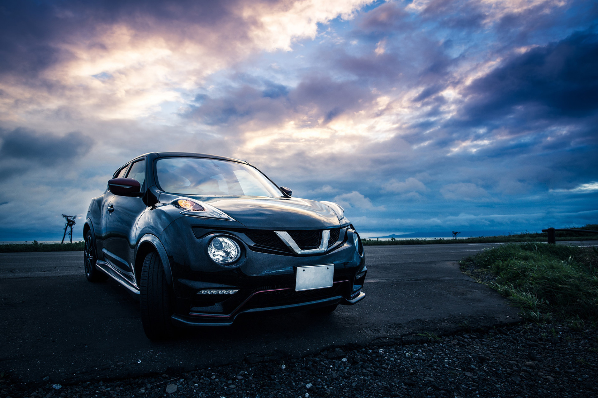 株式会社デントリペア・オゴマ