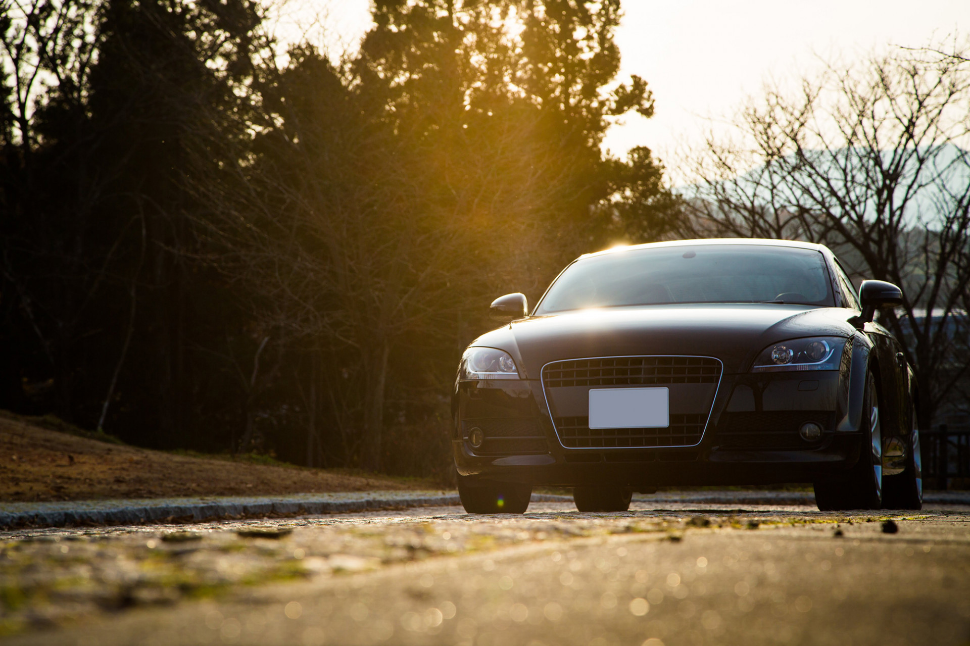 株式会社デントリペア・オゴマ